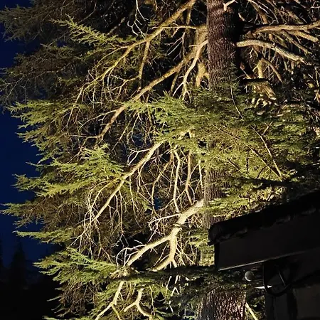 Maison D'Hotes Σπίτι διακοπών